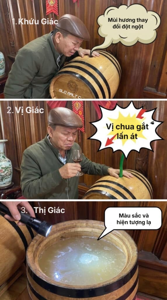 Rượu Bị Chua Khi Ngâm Thùng Sồi: Vạch Trần Nguyên Nhân & 3 Cách “Cứu” Rượu Tại Nhà